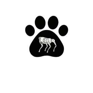 Snappy the Robot Dog